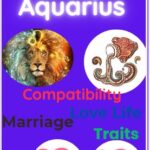 Leo and Aquarius zodiac compatibility
