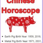 Pig Daily Horoscope