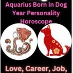 Aquarius Dog Chinese zodiac