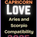 Aries and Capricorn compatibility in 2025