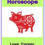 Pig Chinese horoscope 2026