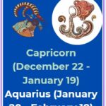 zodiac dates for January