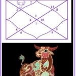Taurus in 2nd house