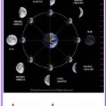 Cycle of the Moon phases