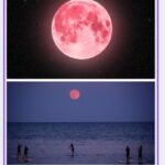 Next strawberry moon phase in 2025
