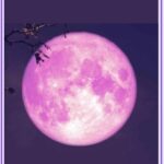 Pink Moon April 2025