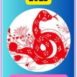 Snake Chinese Horoscope June 2025