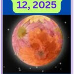 Full Flower Moon on May 12, 2025