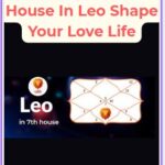 The 7th House In Leo