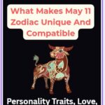 What Makes May 11 Zodiac Unique And Compatible