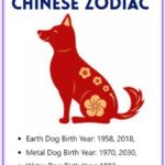 2026 Dog Chinese Zodiac Predictions